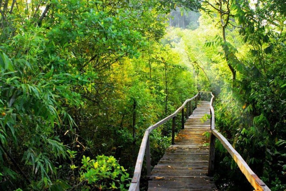 Tour Trekking Vườn Quốc Gia Cát Bà - Thăm Động Trung Trang Nửa Ngày